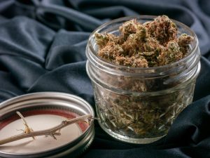 Full,jar,of,cannabis,and,stem